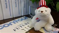Molar Bear Molar Bear