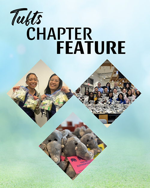 tufts_service_website